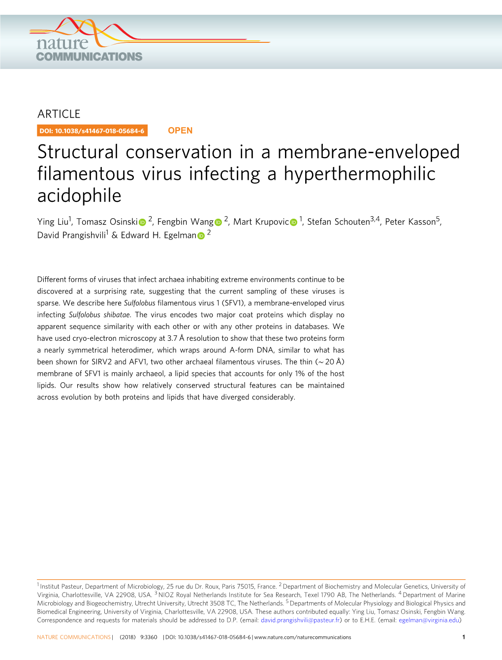 Structural Conservation in a Membrane-Enveloped Filamentous