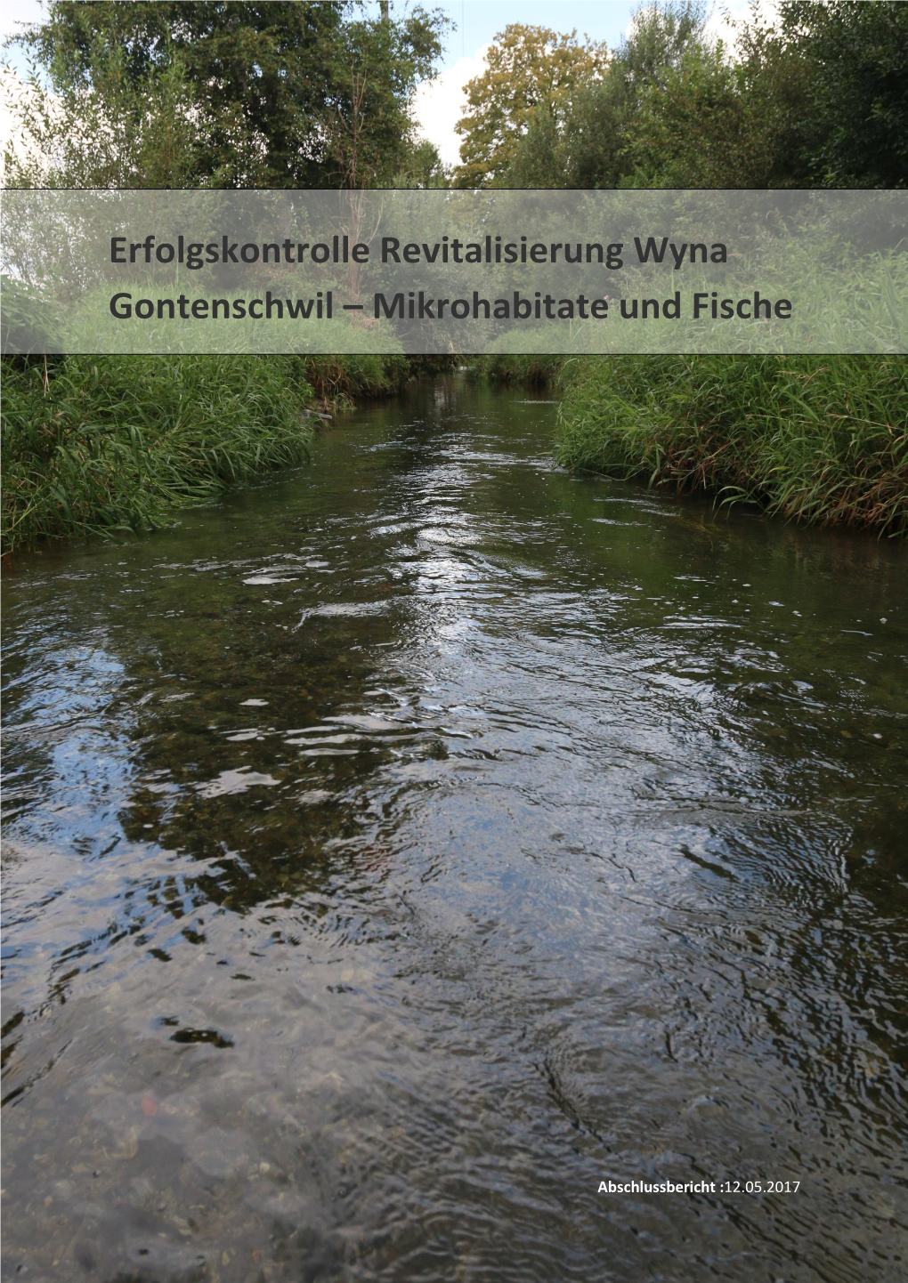 Erfolgskontrolle Revitalisierung Wyna Gontenschwil – Mikrohabitate Und