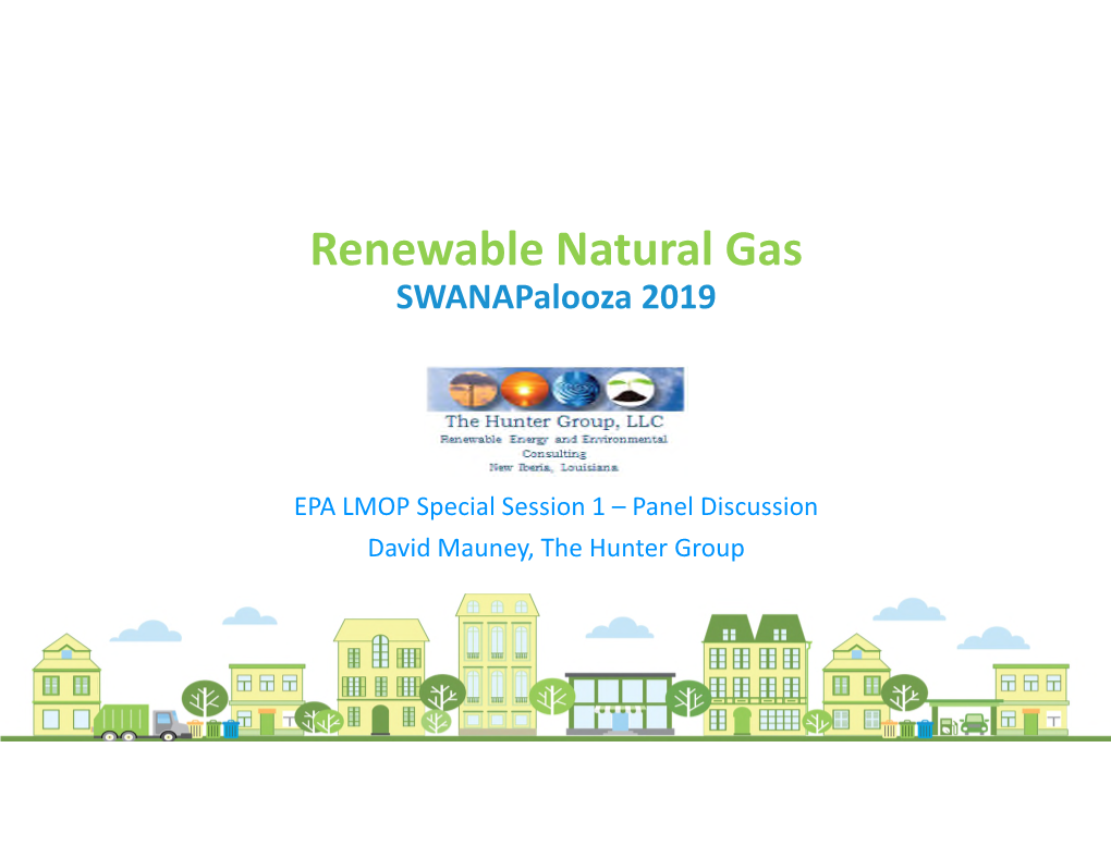 Renewable Natural Gas (PDF)
