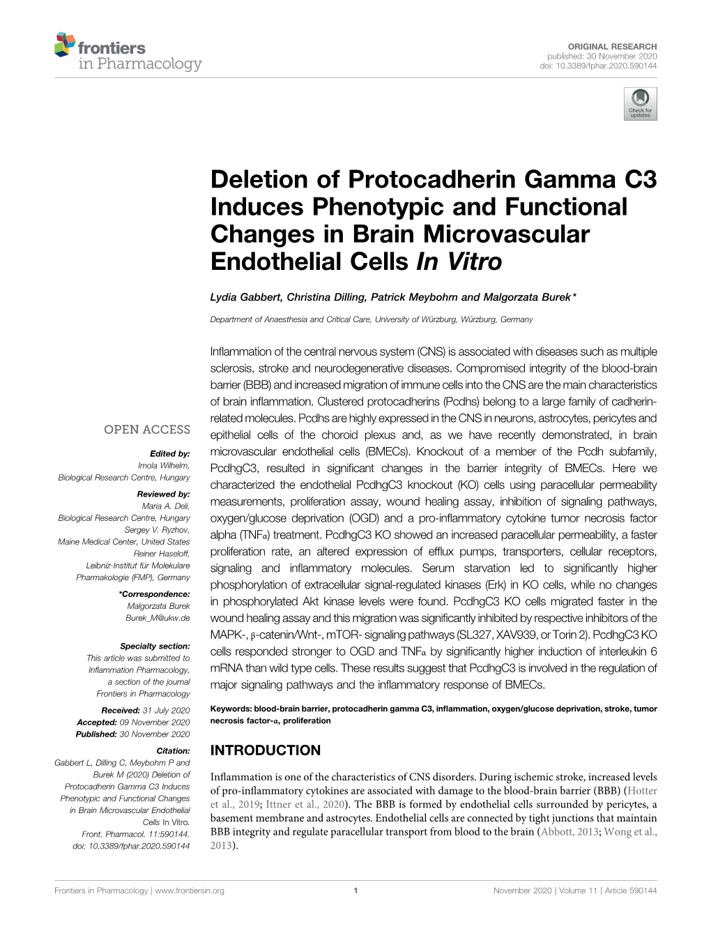 Deletion of Protocadherin Gamma C3 Induces Phenotypic and Functional Changes in Brain Microvascular Endothelial Cells in Vitro