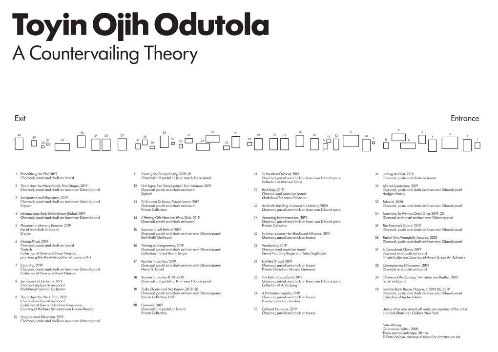 Toyin Ojih Odutola Captions A3 Handout.Indd