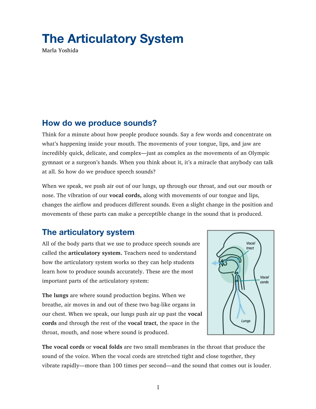 The Articulatory System Marla Yoshida