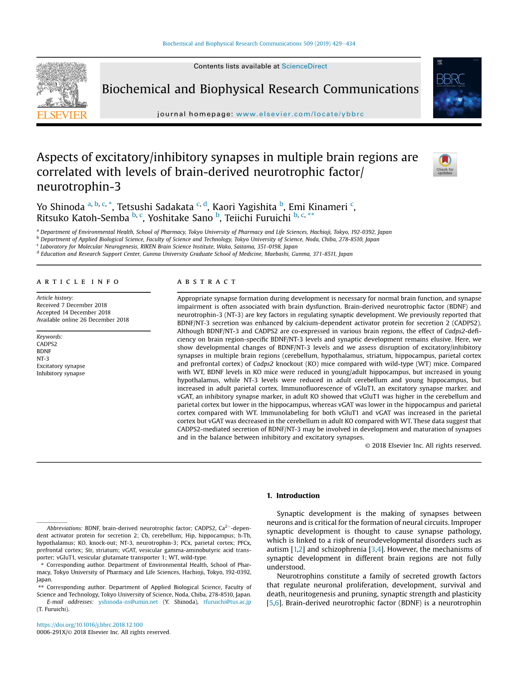 Aspects of Excitatory/Inhibitory Synapses in Multiple Brain Regions Are Correlated with Levels of Brain-Derived Neurotrophic Factor/ Neurotrophin-3