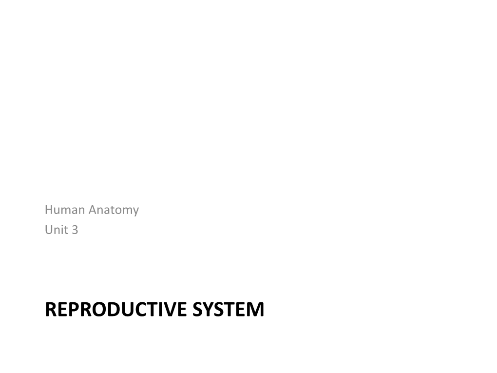 REPRODUCTIVE SYSTEM in Anatomy Today Male Reproductive System