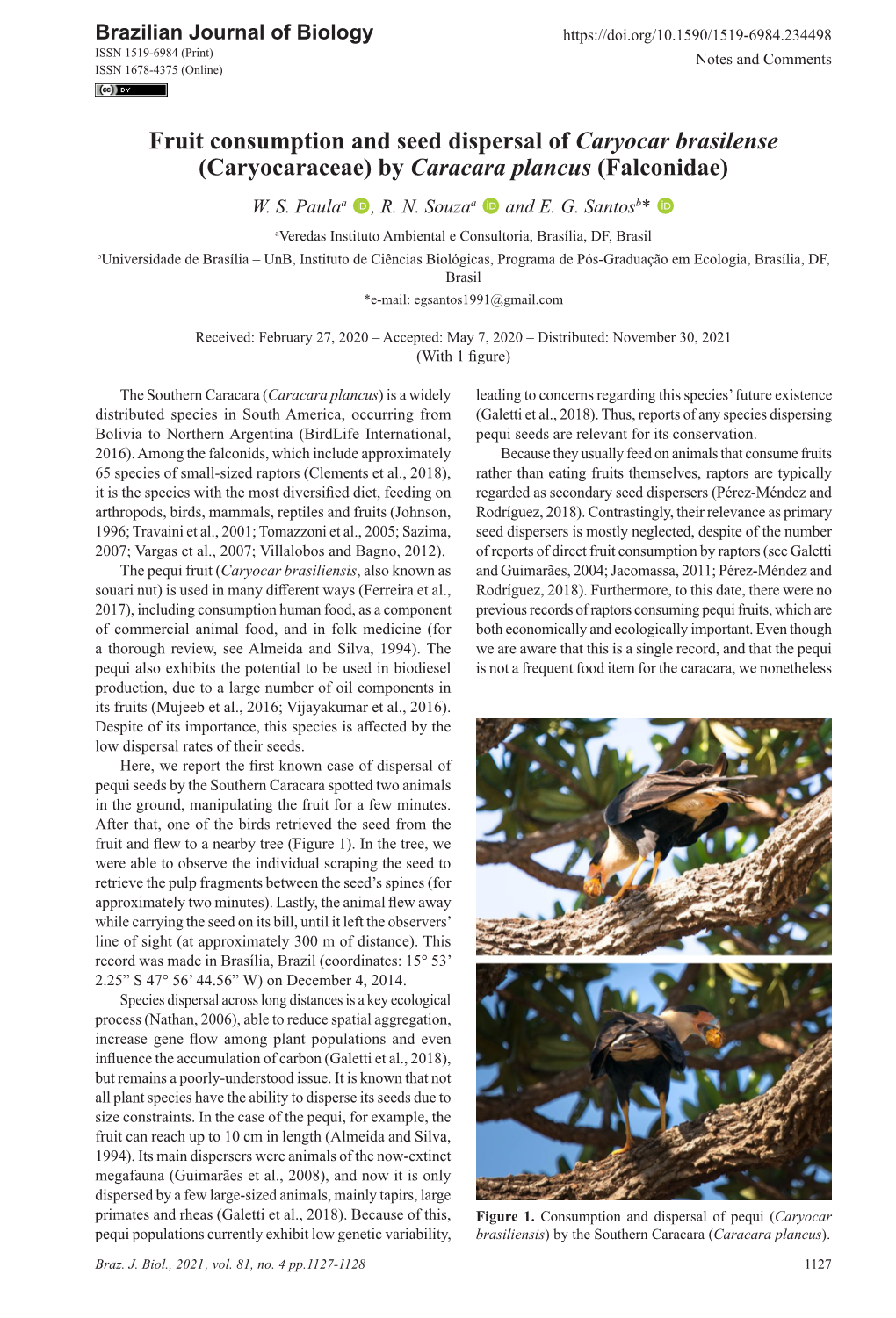 Fruit Consumption and Seed Dispersal of Caryocar Brasilense (Caryocaraceae) by Caracara Plancus (Falconidae) W