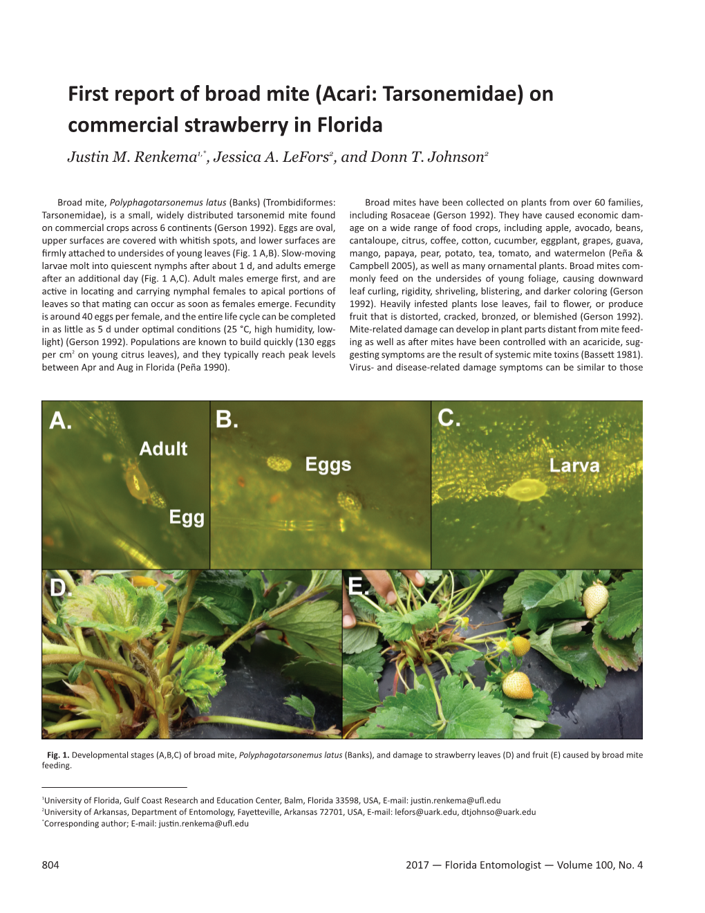 First Report of Broad Mite (Acari: Tarsonemidae) on Commercial Strawberry in Florida