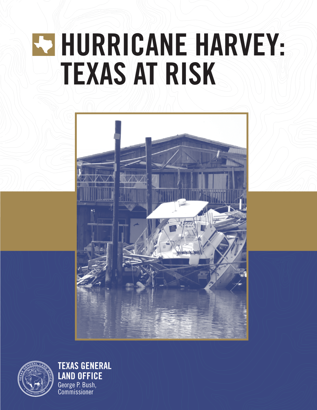 Hurricane Harvey: Texas at Risk Page 1 Texas General Land Office Executive Summary