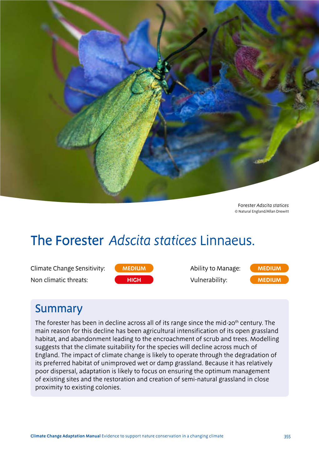 Forester Adscita Statices © Natural England/Allan Drewitt