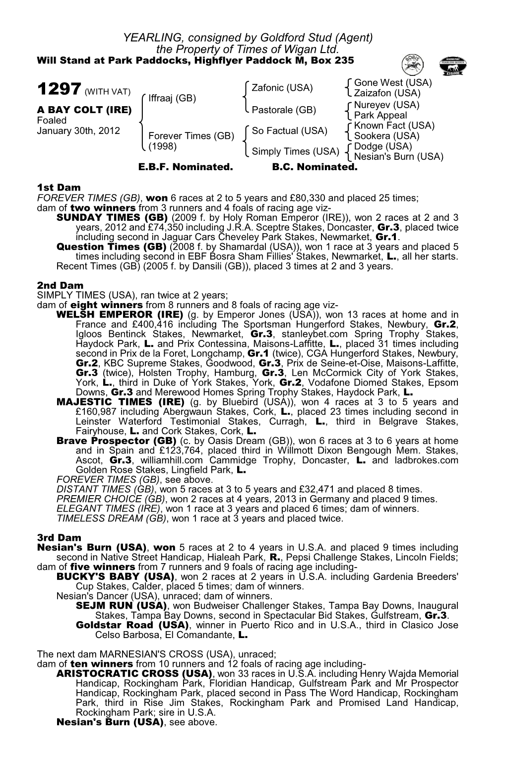 YEARLING, Consigned by Goldford Stud (Agent) the Property of Times of Wigan Ltd