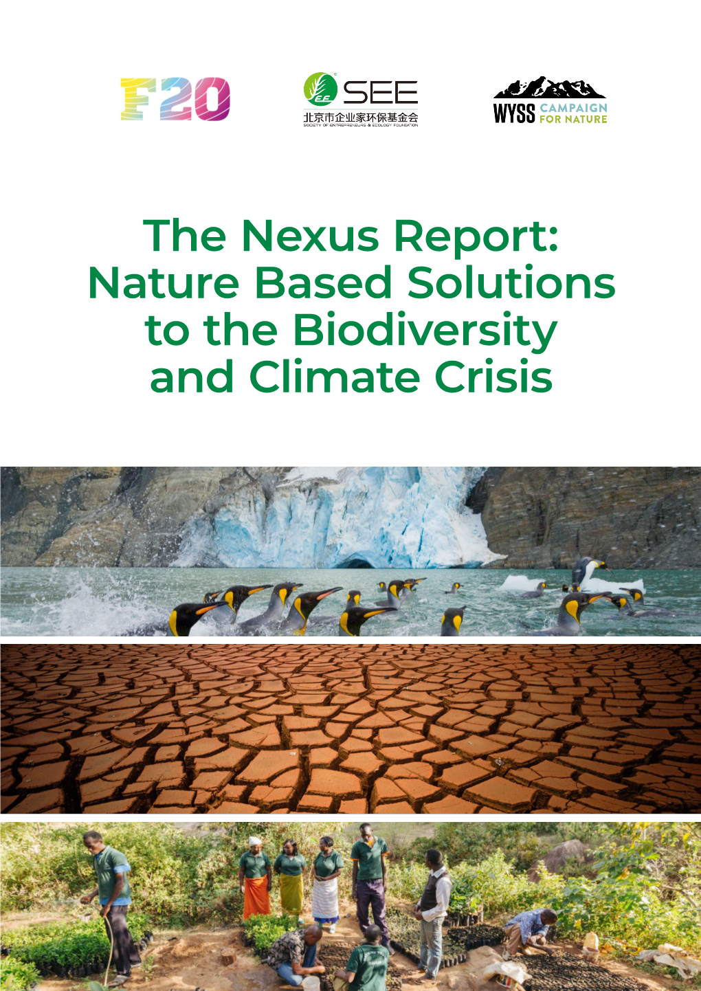 The Nexus Report: Nature Based Solutions to the Biodiversity and Climate Crisis Table of Contents