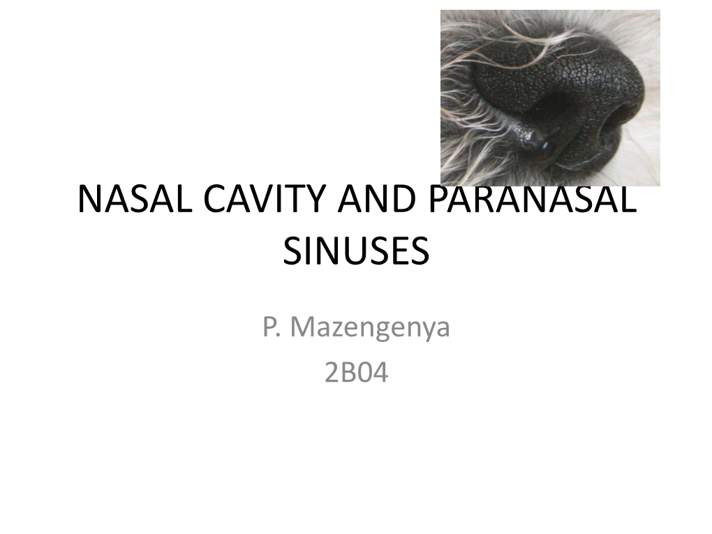 Nasal Cavity and Paranasal Sinuses