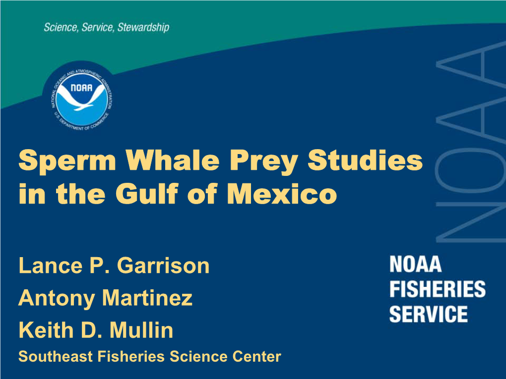 Sperm Whale Prey Studies in the Gulf of Mexico