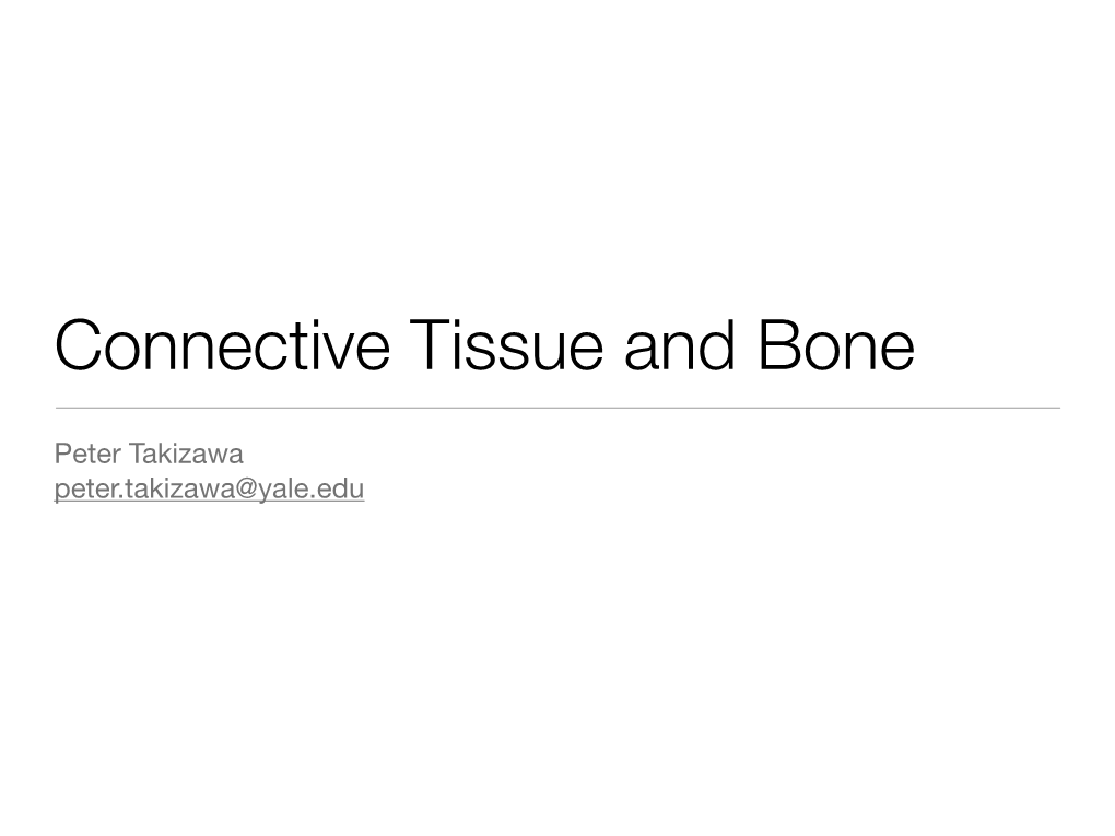 Connective Tissue and Bone