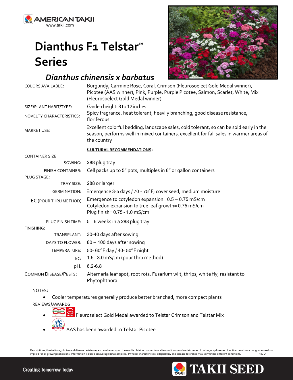 Dianthus F1 Telstar™ Series