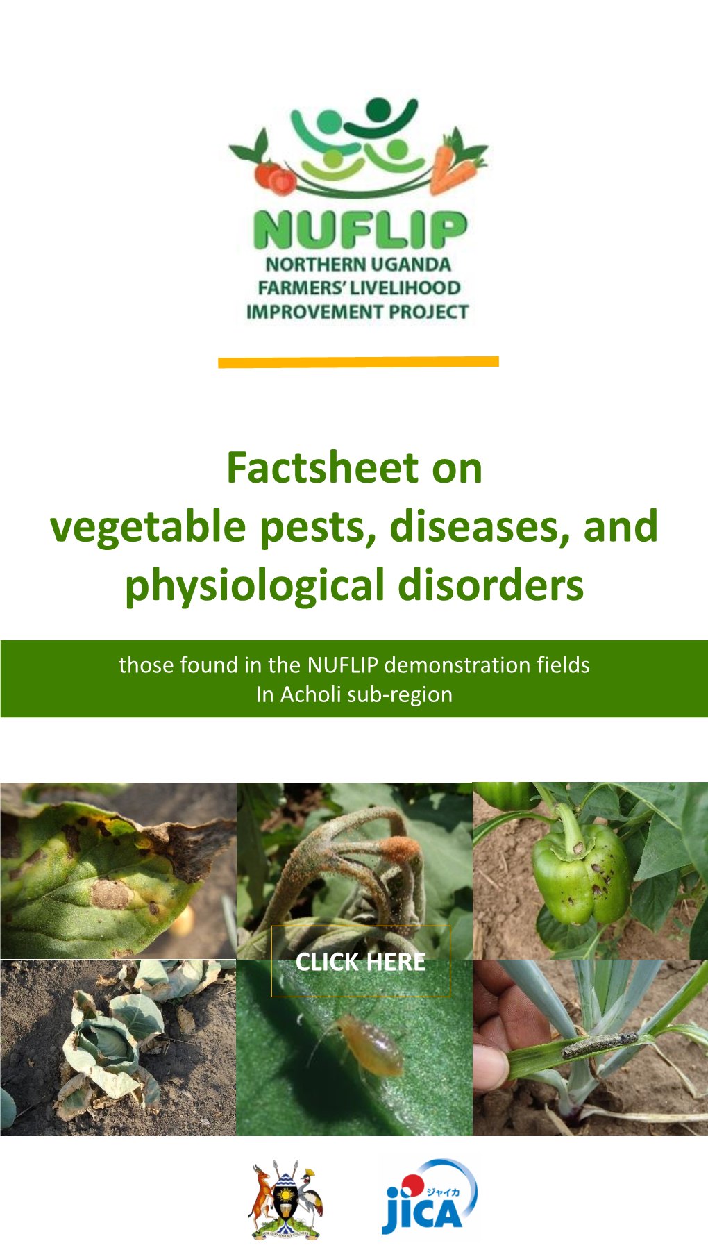 Factsheet on Vegetable Pests, Diseases, and Physiological Disorders