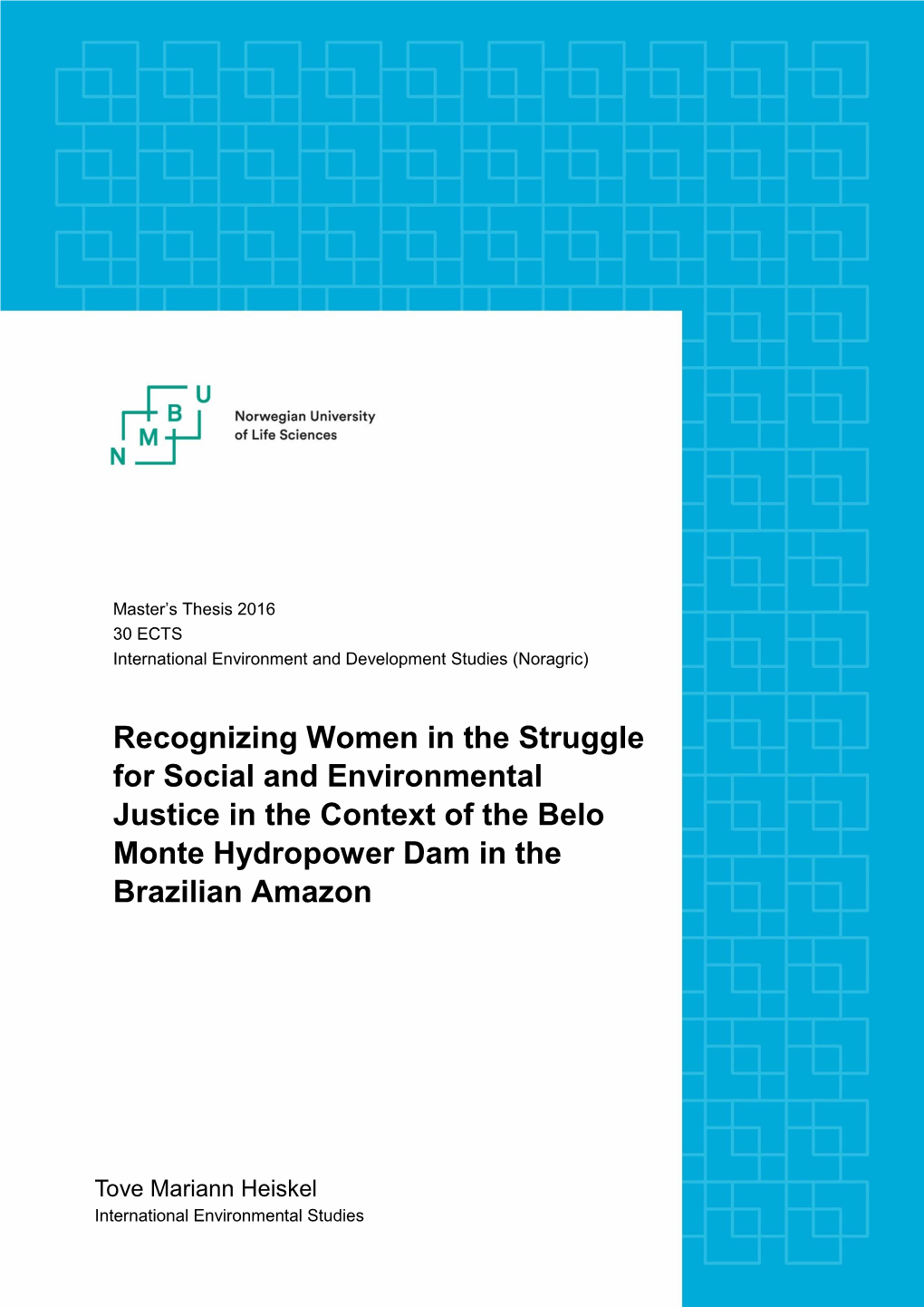 Recognizing Women in the Struggle for Social and Environmental Justice in the Context of the Belo Monte Hydropower Dam in the Brazilian Amazon
