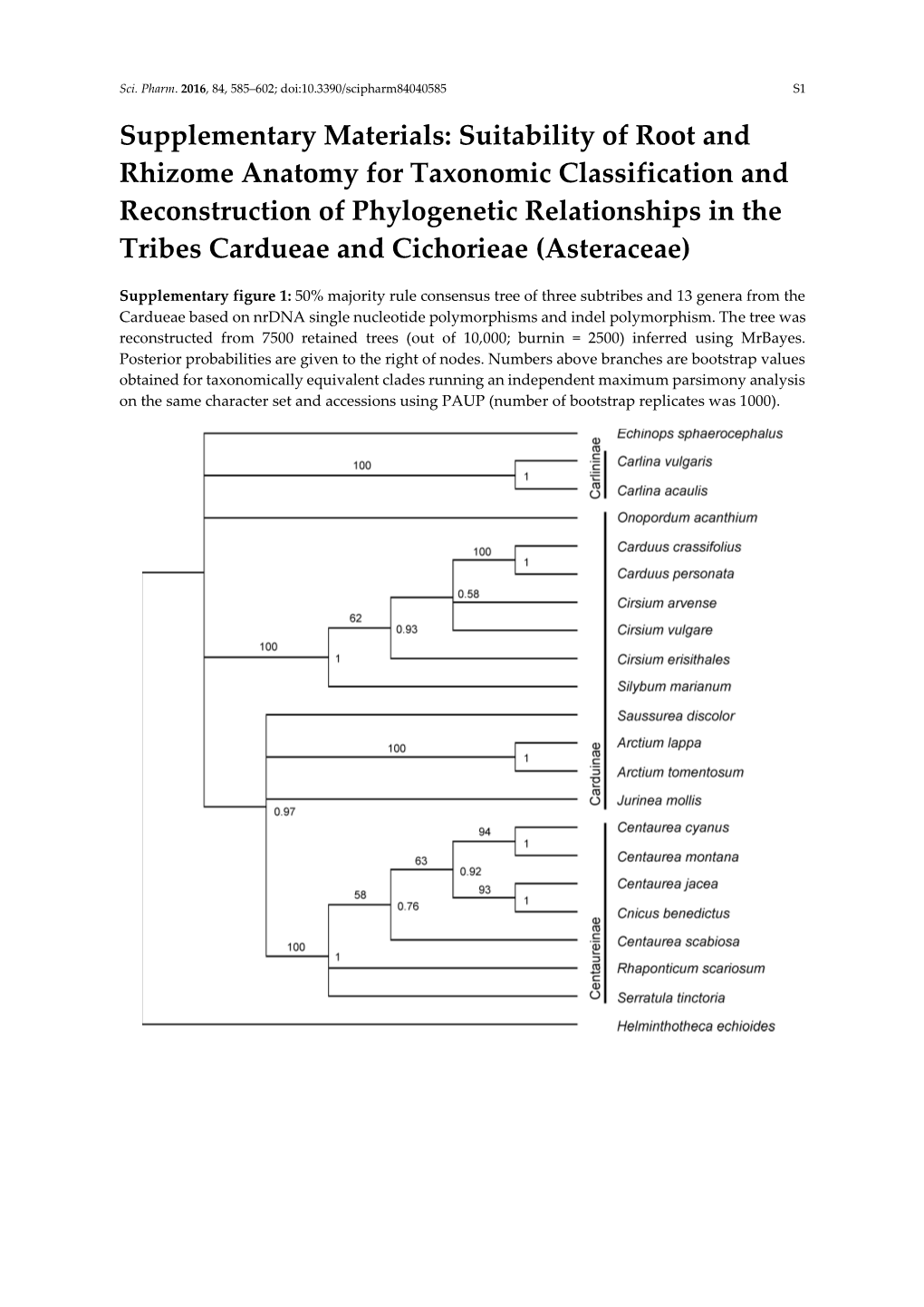 Type of the Paper (Article