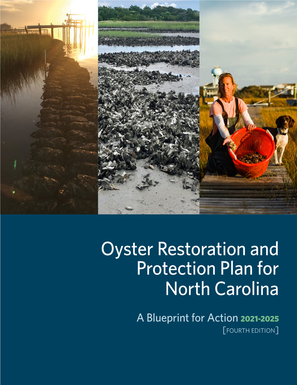 Oyster Restoration and Protection Plan for North Carolina