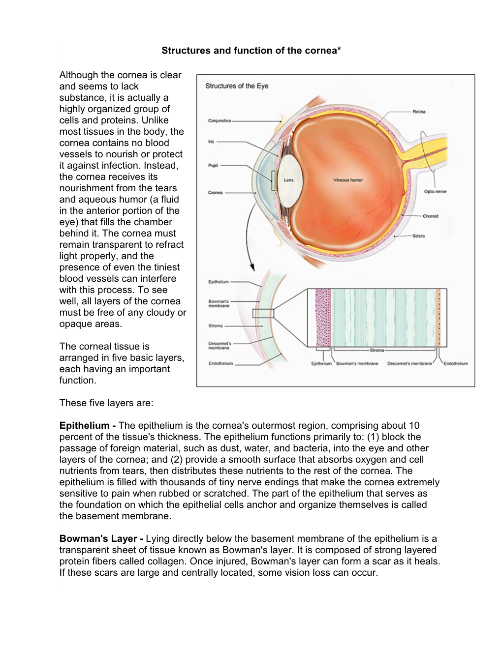 Structures and Function of the Cornea* Although the Cornea Is Clear And