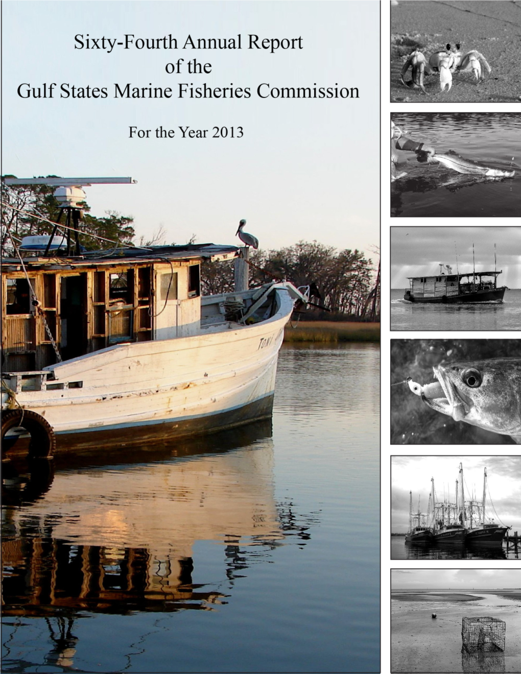 Sixty-Fourth Annual Report (2013) of the GULF STATES MARINE