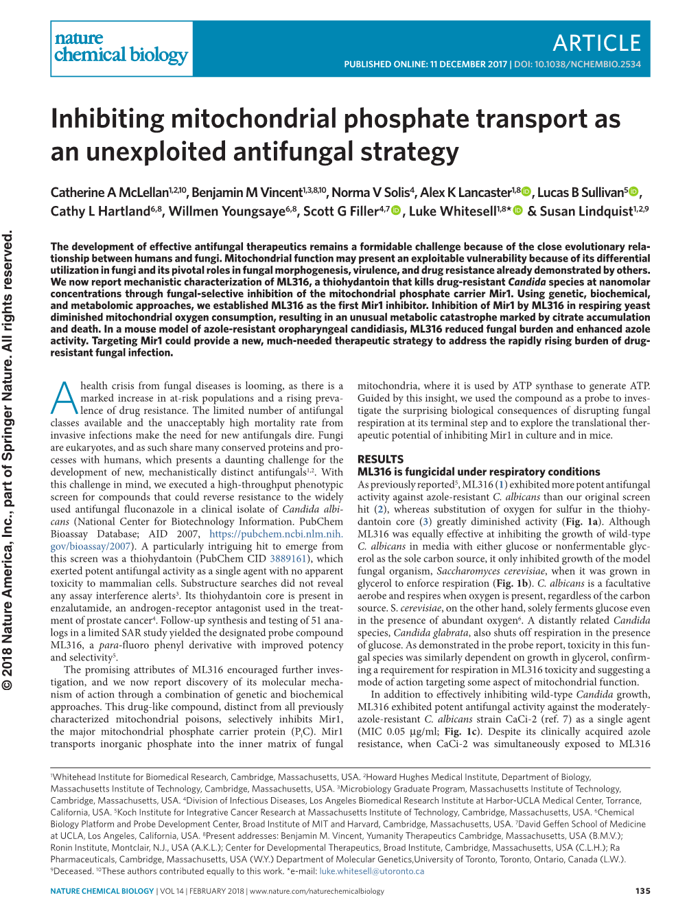 Inhibiting Mitochondrial Phosphate Transport As an Unexploited Antifungal Strategy