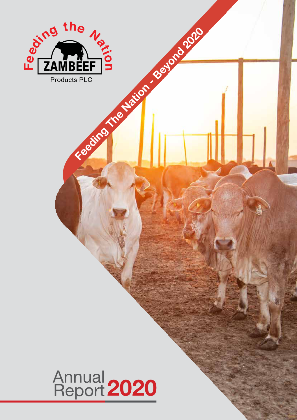 Annual Report2020 2 Zambeef Products PLC Annual Report 2020 Contents