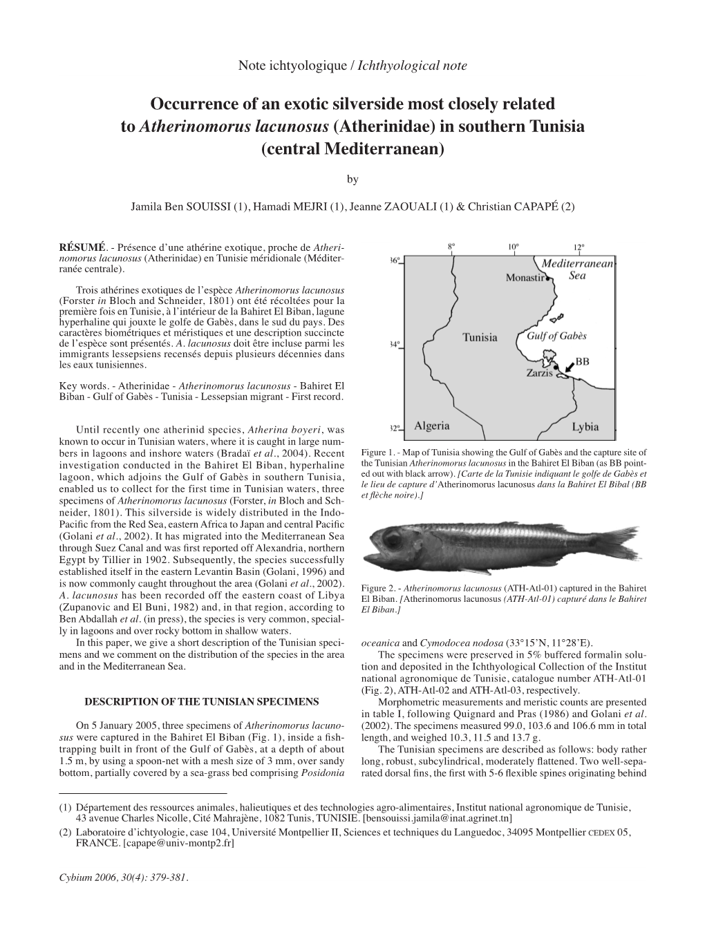 Occurrence of an Exotic Silverside Most Closely Related to Atherinomorus Lacunosus (Atherinidae) in Southern Tunisia (Central Mediterranean)