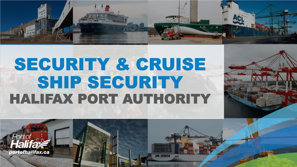 Security & Cruise Ship Security