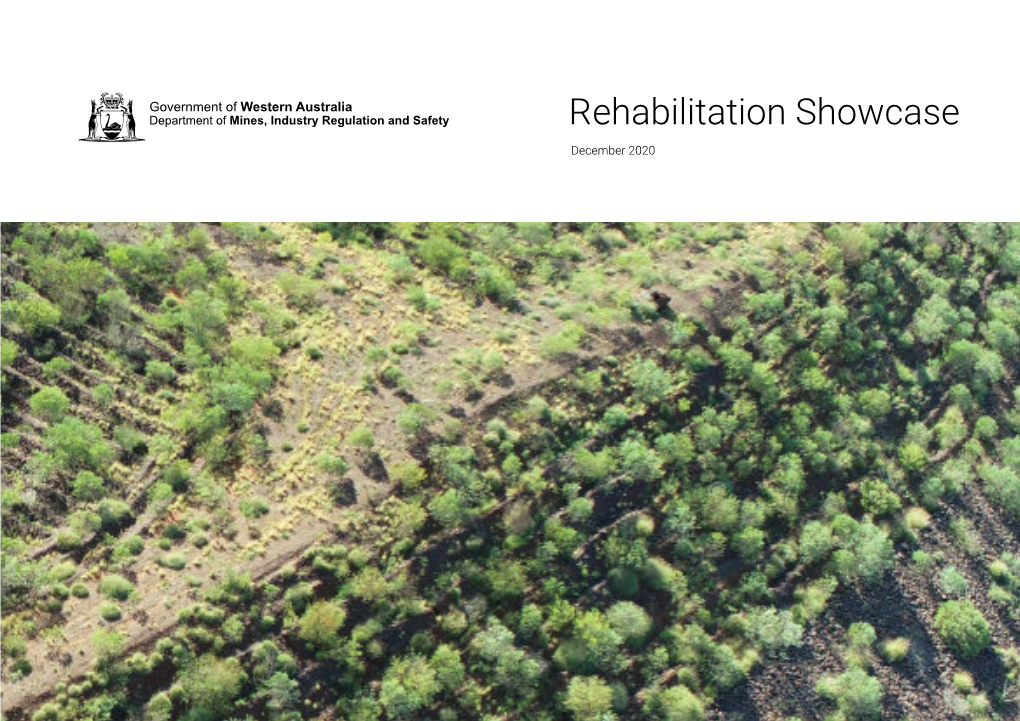 Rehabilitation Showcase December 2020 the Department Wishes to Thank All Contributors Who Provided Content to the Rehabilitation Showcase