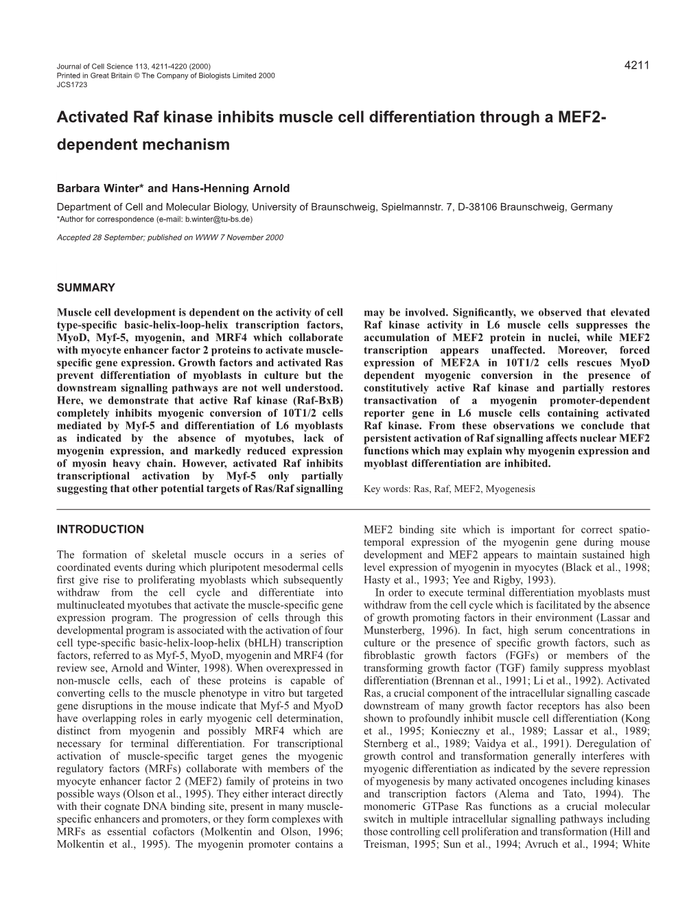 Activated Raf Kinase Inhibits Muscle Cell Differentiation Through a MEF2- Dependent Mechanism