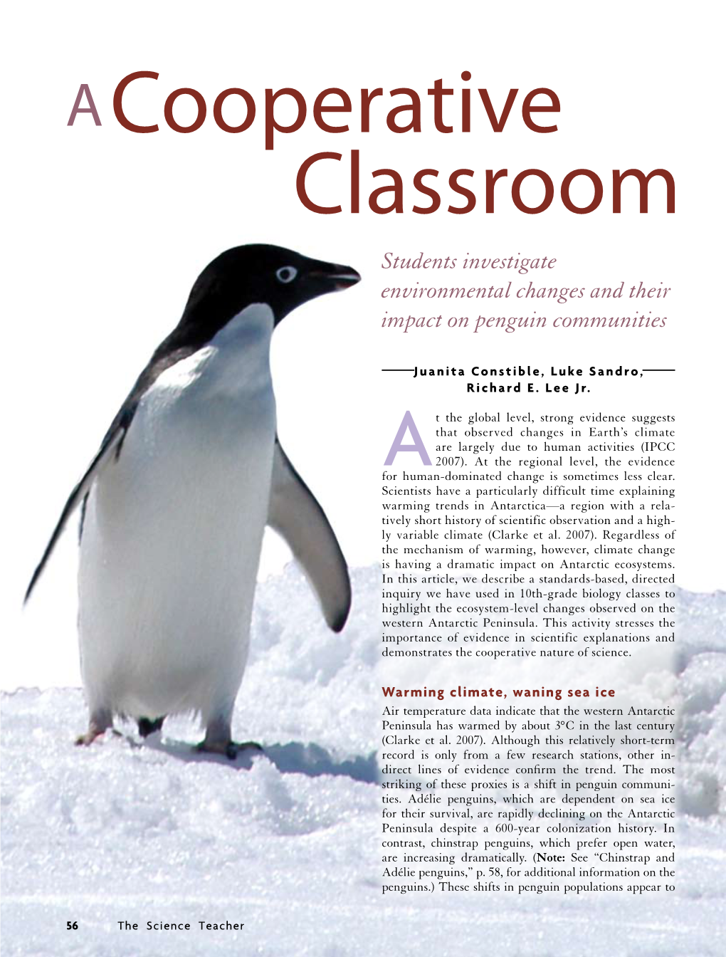 Students Investigate Environmental Changes and Their Impact on Penguin Communities