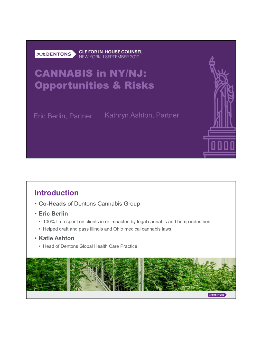 CANNABIS in NY/NJ: Opportunities & Risks