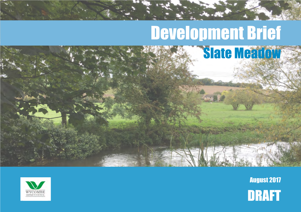 Development Brief Slate Meadow