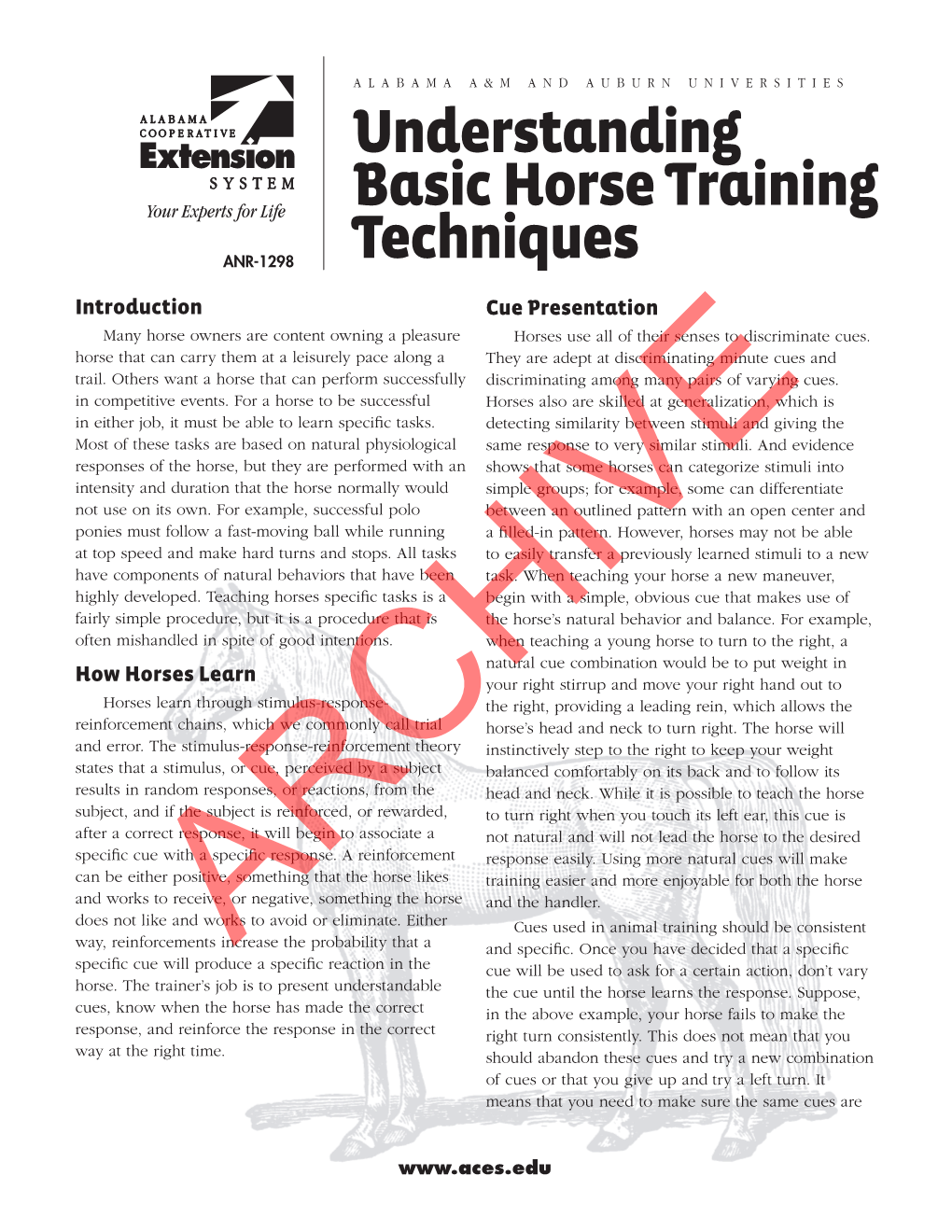 Understanding Basic Horse Training Techniques 3 Delivered