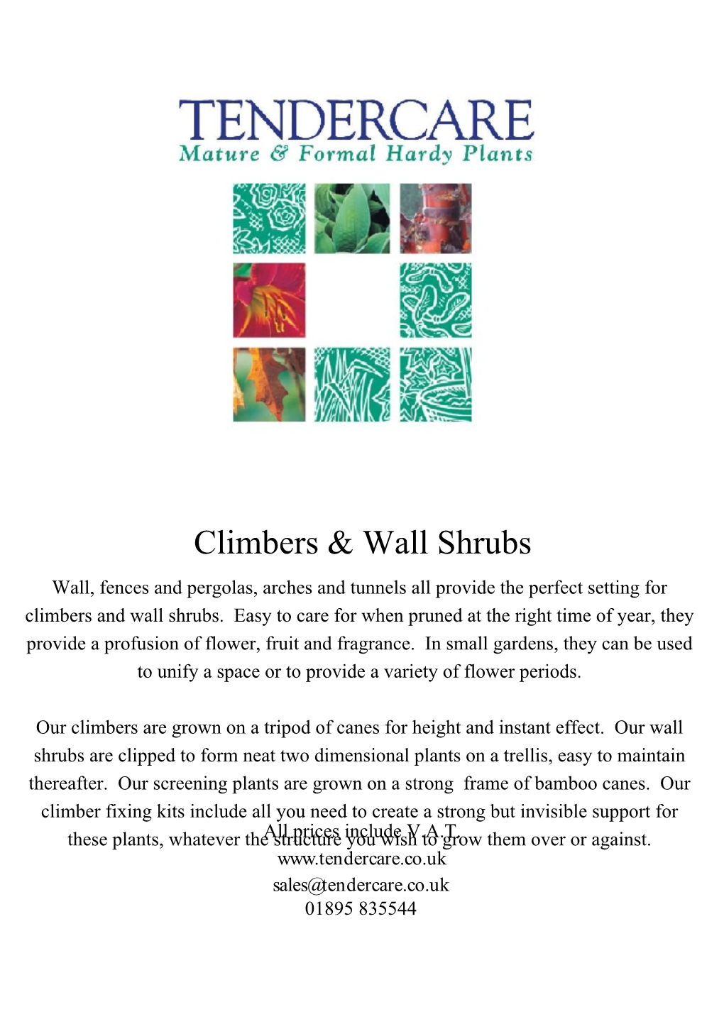 Climbers & Wall Shrubs