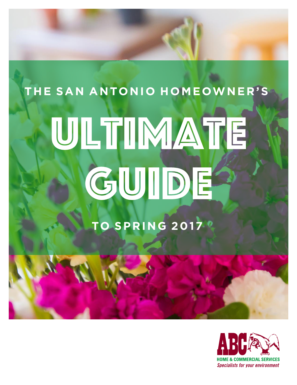 San Antonio Homeowners Guide for Spring 2017