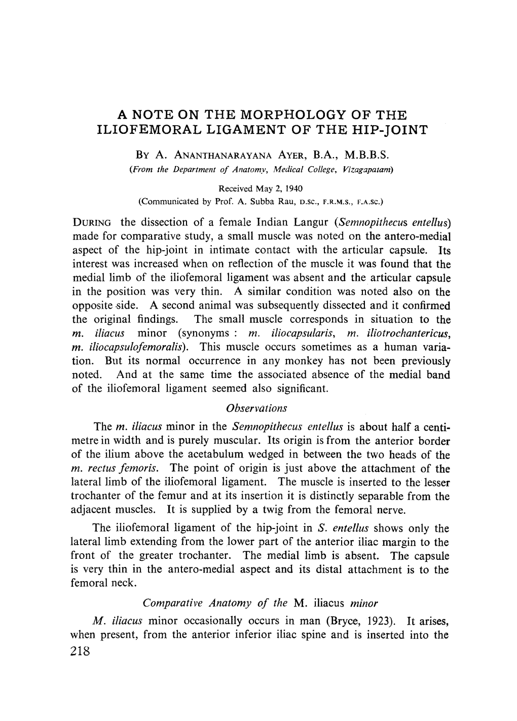 A Note on the Morphology of the Iliofemoral Ligament of the Hip-Joint