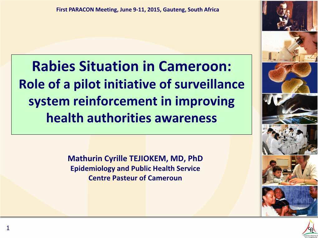 Rabies Situation in Cameroon: Role of a Pilot Initiative of Surveillance System Reinforcement in Improving Health Authorities Awareness