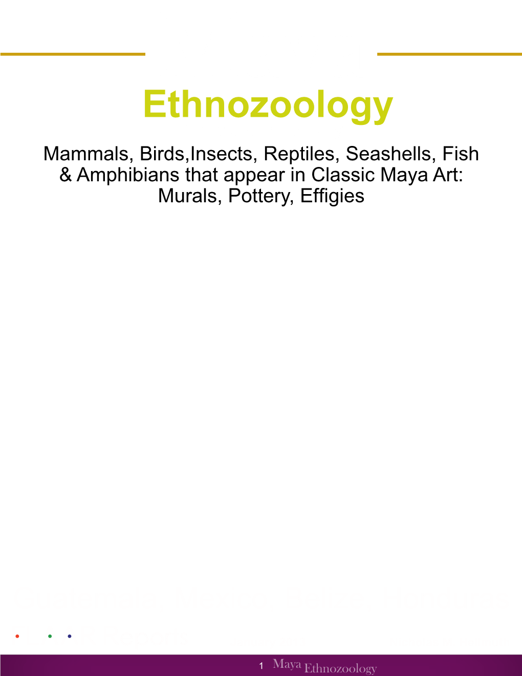 Ethnozoology Complete Inventory: Mammals, Birds,Insects, Reptiles, Seashells, Fish & Amphibians That Appear in Classic Maya Art: Murals, Pottery, Effigies