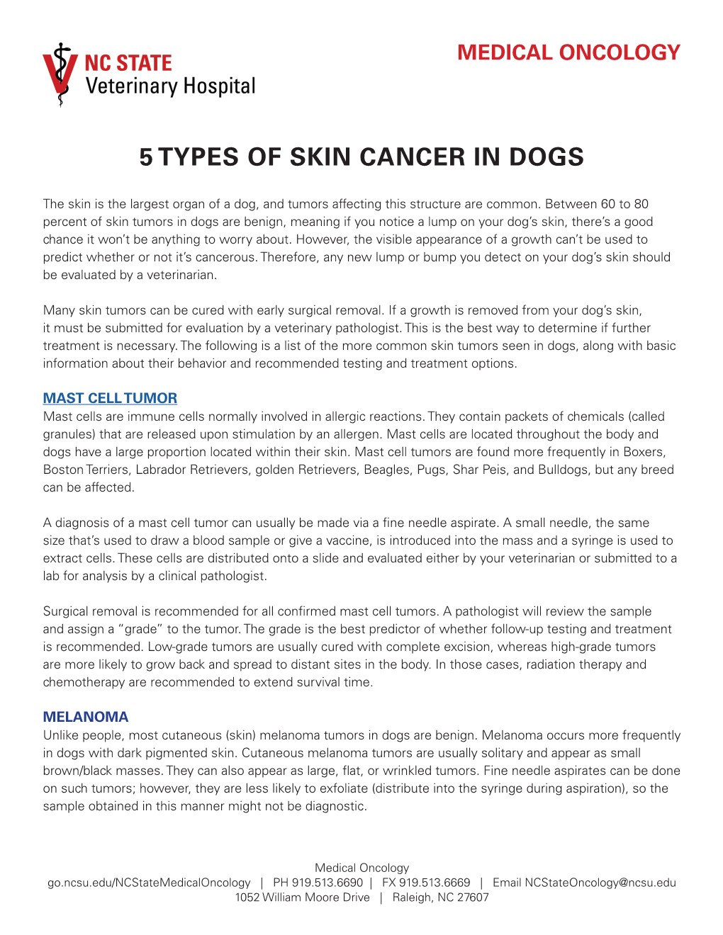 5 Types of Skin Cancer in Dogs