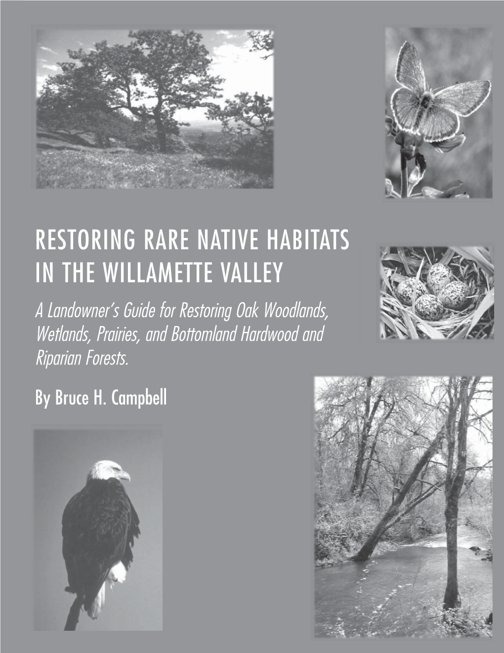 Restoring Rare Native Habitats in the Willamette