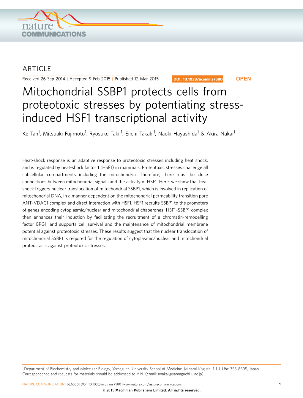 Mitochondrial SSBP1 Protects Cells from Proteotoxic Stresses by Potentiating Stress-Induced HSF1 Transcriptional Activity