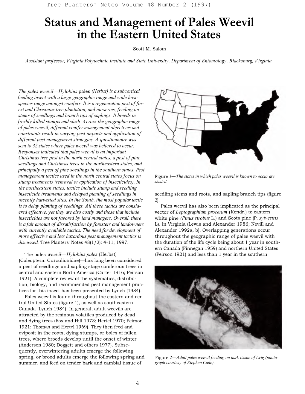 Status and Management of Pales Weevil in the Eastern United States