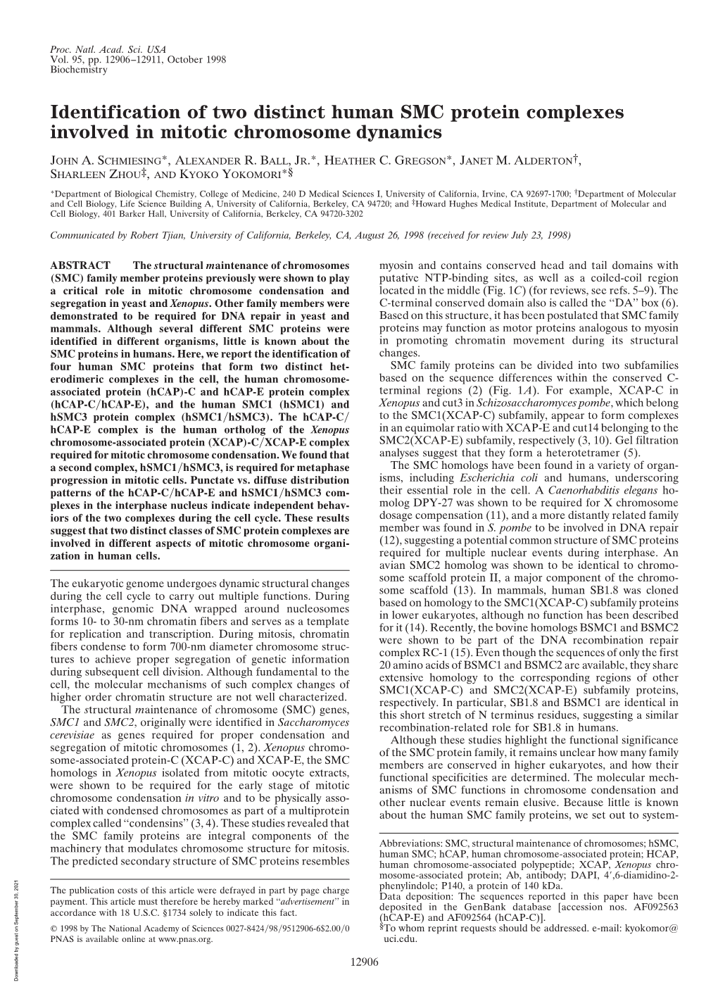 Identification of Two Distinct Human SMC Protein Complexes Involved in Mitotic Chromosome Dynamics