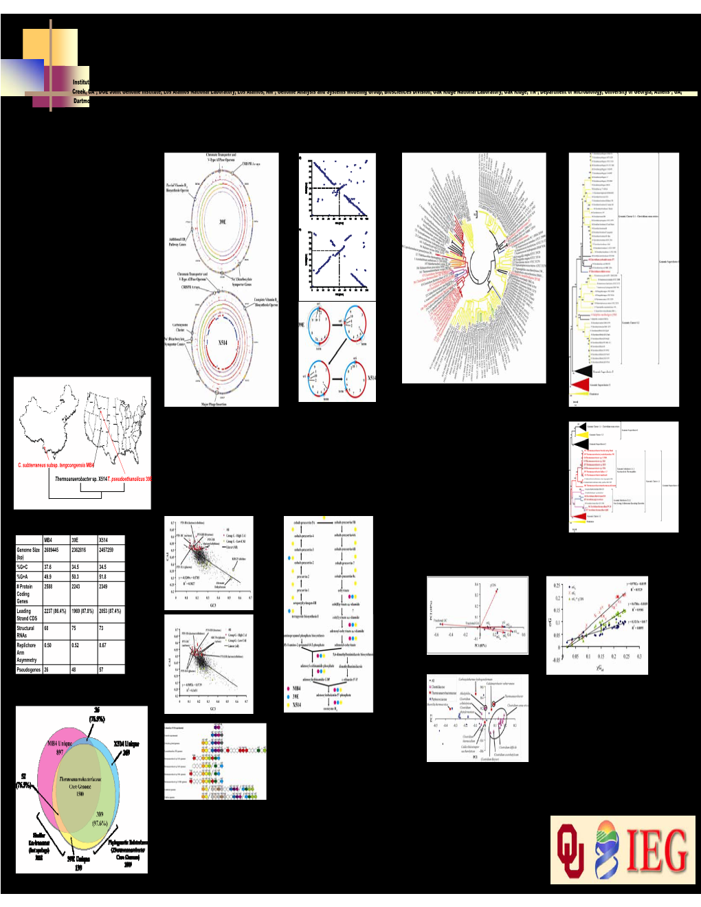 Comparative Genomics of Ethanol-Producing Clostridia Species R-038 C