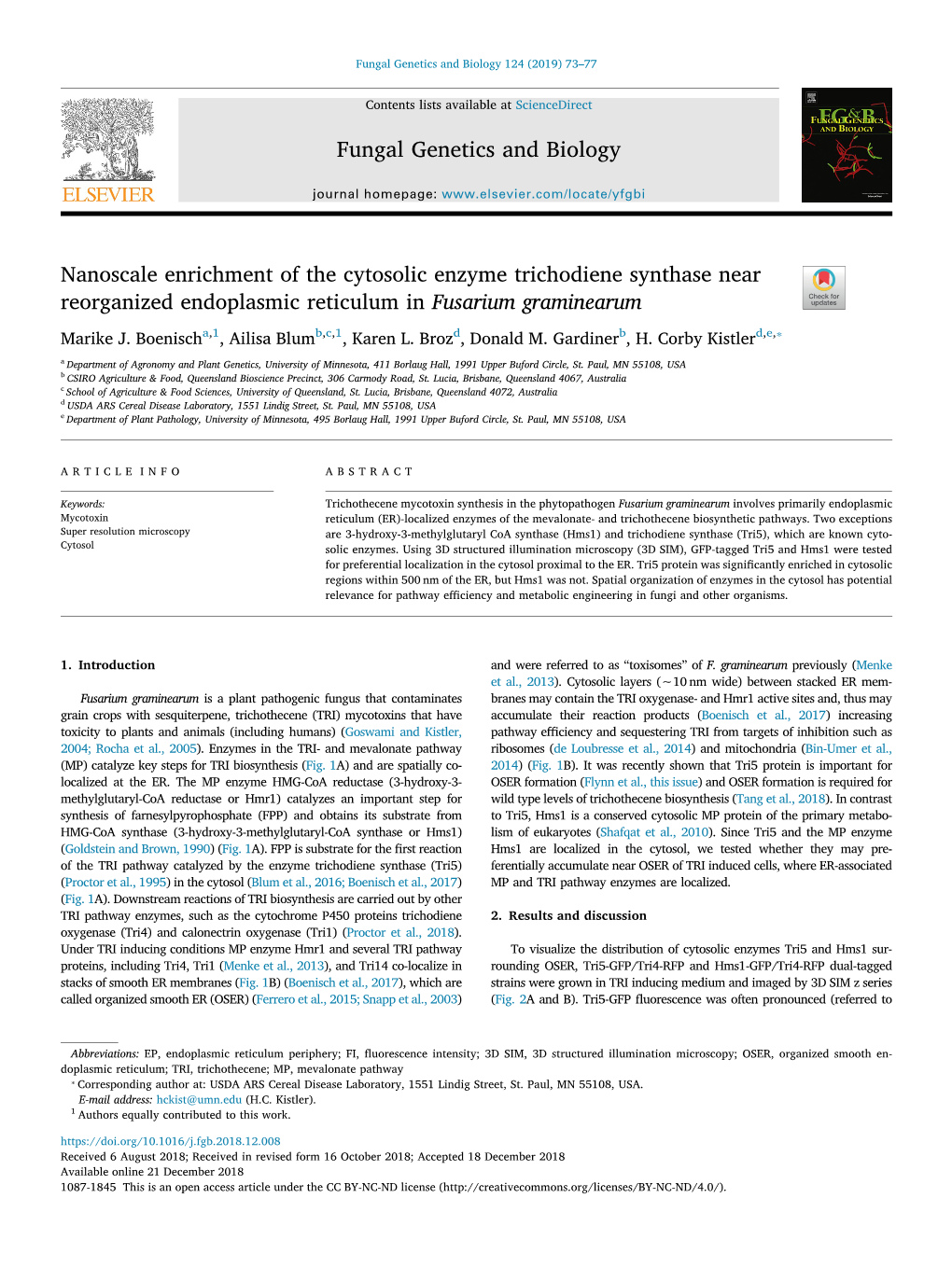 Nanoscale Enrichment of the Cytosolic Enzyme Trichodiene Synthase Near T Reorganized Endoplasmic Reticulum in Fusarium Graminearum ⁎ Marike J