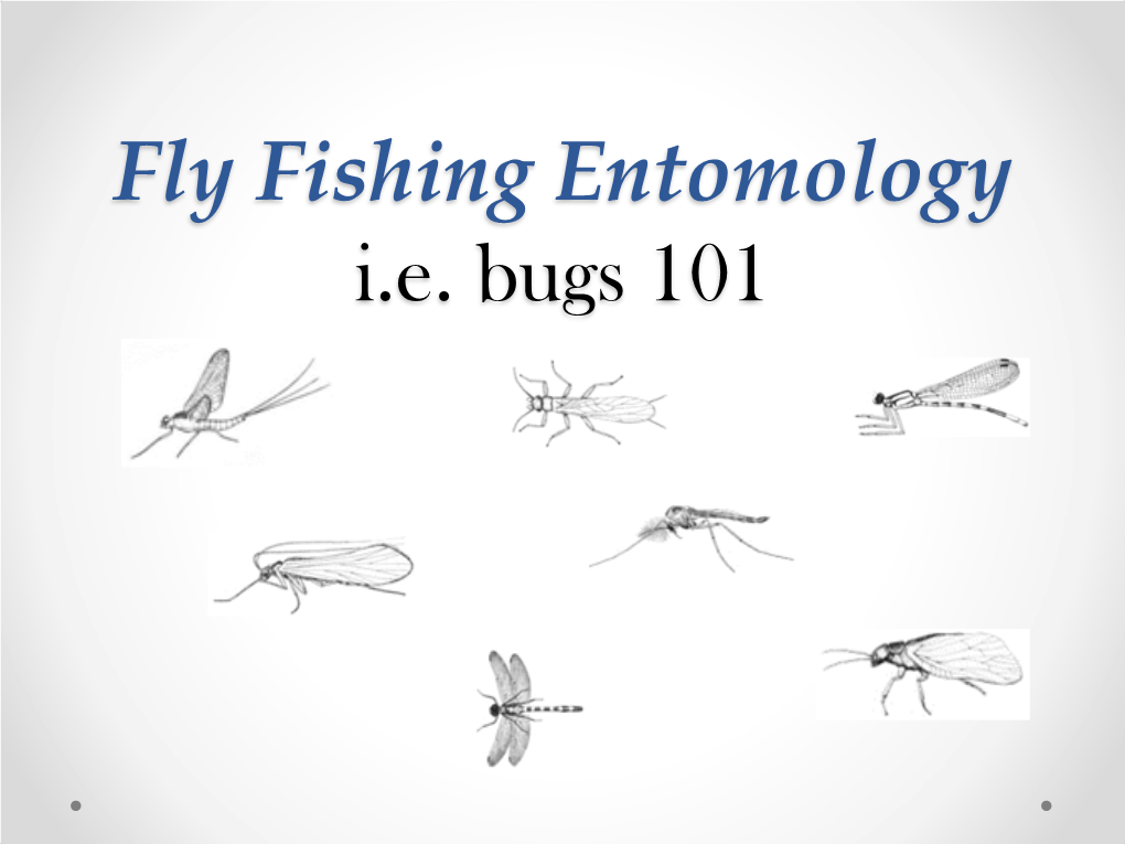 Fly Fishing Entomology I.E