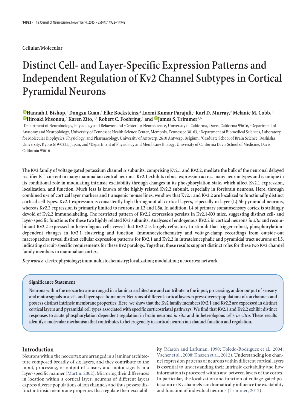 Distinct Cell- and Layer-Specific Expression Patterns and Independent Regulation of Kv2 Channel Subtypes in Cortical Pyramidal Neurons