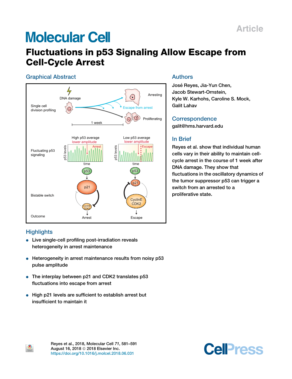 Fluctuations in P53 Signaling Allow Escape from Cell-Cycle Arrest