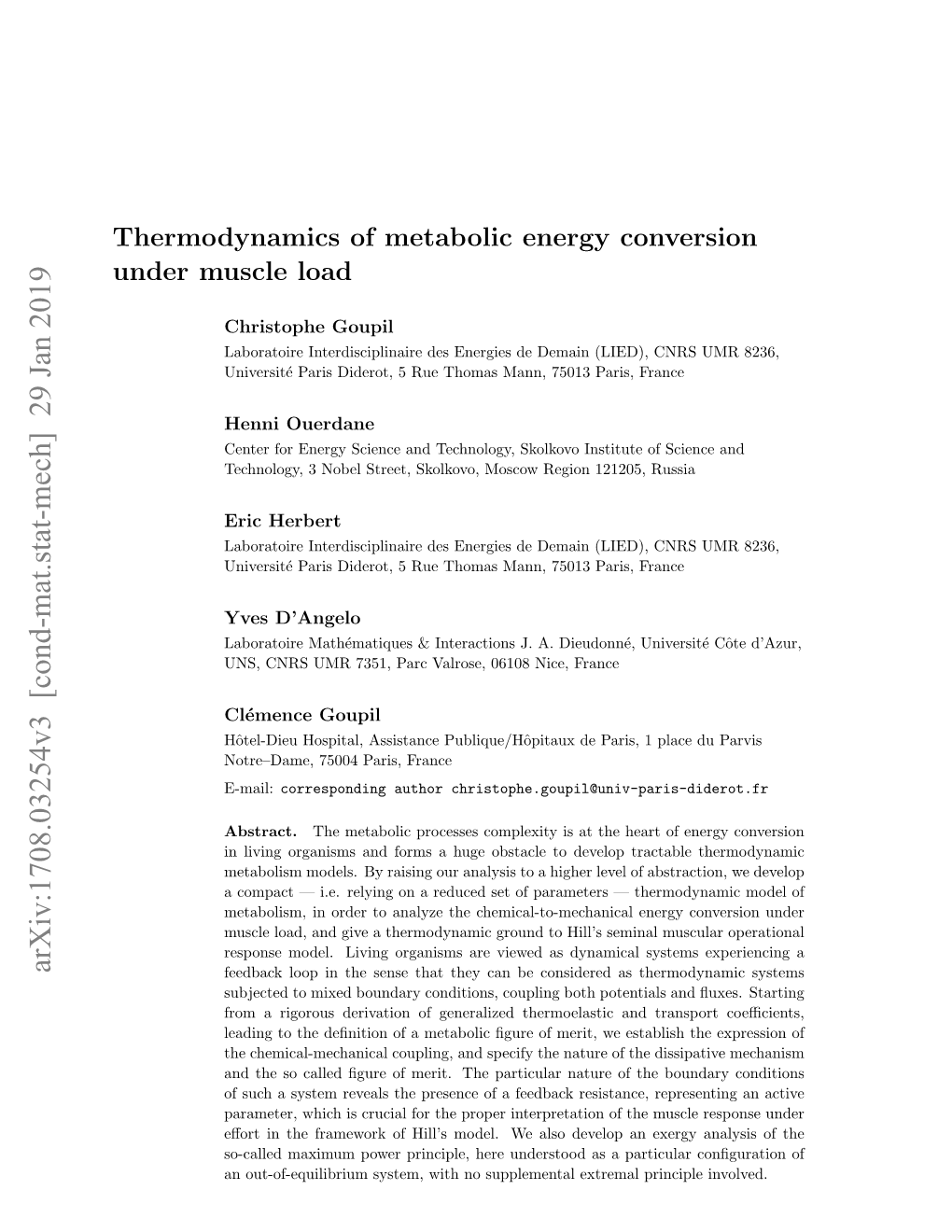 Thermodynamics of Metabolic Energy Conversion Under Muscle Load